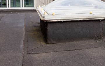 disadvantages of South Cuil flat roofs