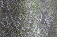 South Cuil fibreglass roof work